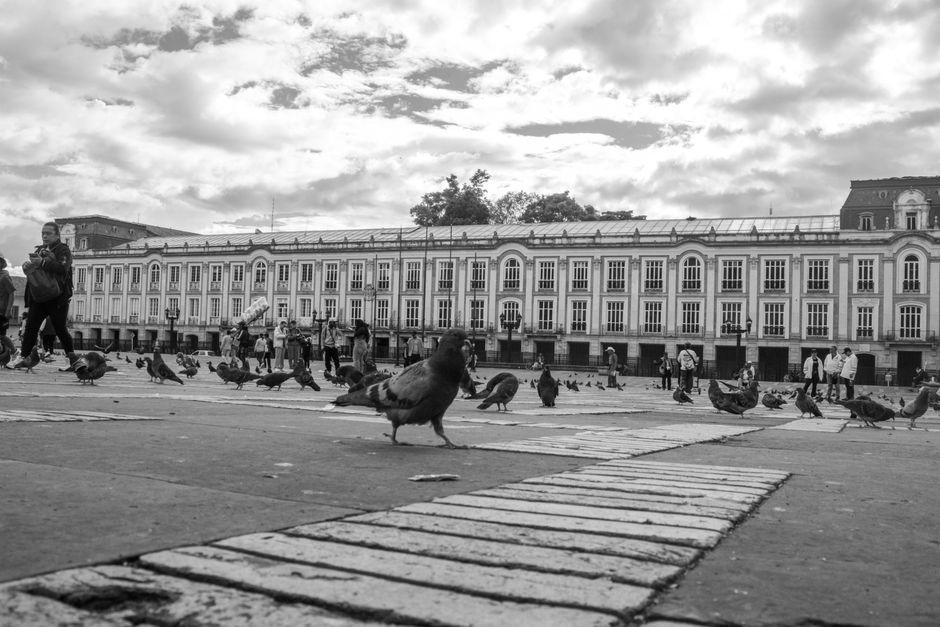 Pigeons and People in Bolivar Square Bogota