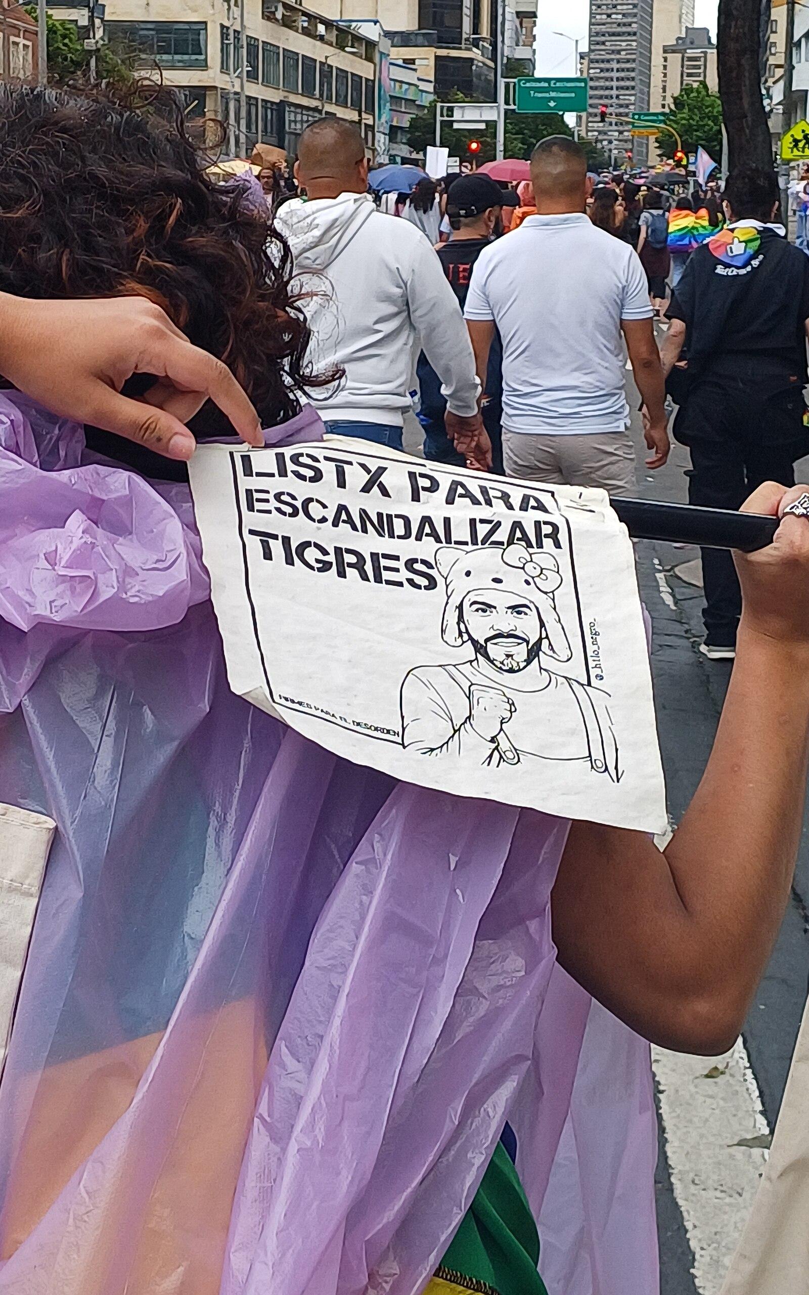 Imagenes de alusión, Carteles, Colombia Pride 2026, Bogotá, Colombia (76204)